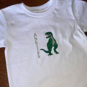 Custom embroidery dinosaur T-shirts